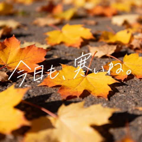 This prompt generates a cozy autumn close-up photo of fallen maple leaves on pavement with expressive white handwritten Japanese text, ideal for seasonal quote posts or poetic social media visuals.