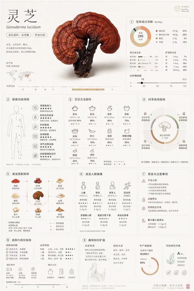 生成一张高度详细的网格化信息图海报,详细介绍特定植物或真菌的营养、药用及实用价值。