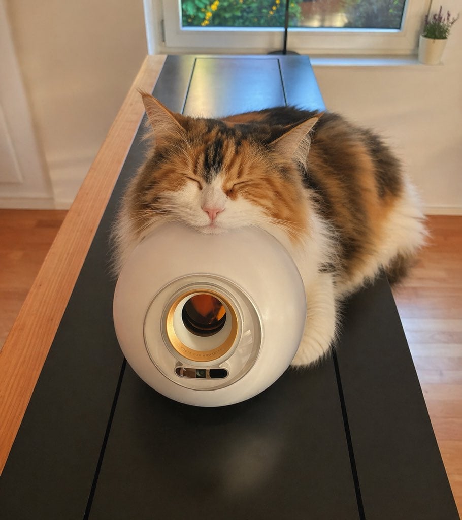 一张温馨、写实的宠物照片，展示了一只毛茸茸的三花猫在光滑的白色设备上打盹，非常适合营造舒适的生活方式或家居室内氛围。