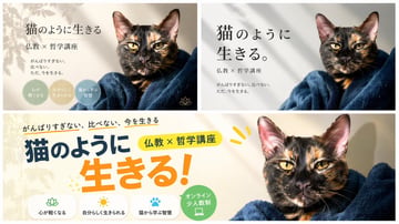 Ready-to-edit banner design variations image prompt.