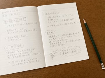 A top-down photorealistic image of an open lined notebook resting on a smooth wooden desk. A dark green HB pencil with a silver ferrule and white eraser lies diagonally on the desk to the...